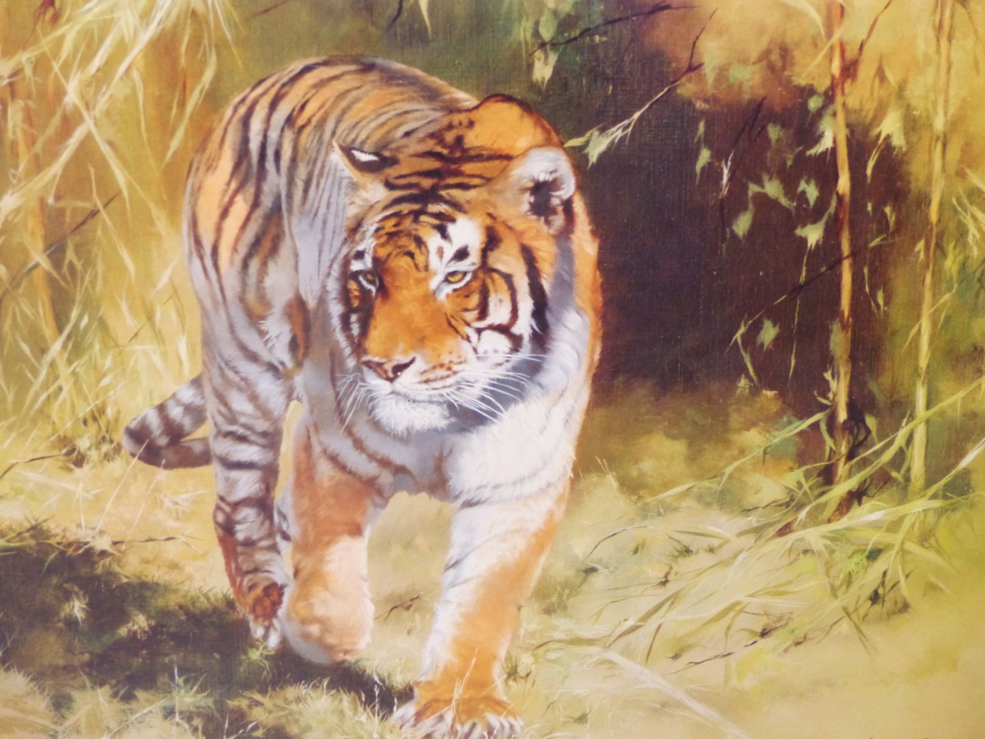 AFTER LEONARD PEARMAN A COLOUR PRINT OF A BENGAL TIGER. 54 x 84cms