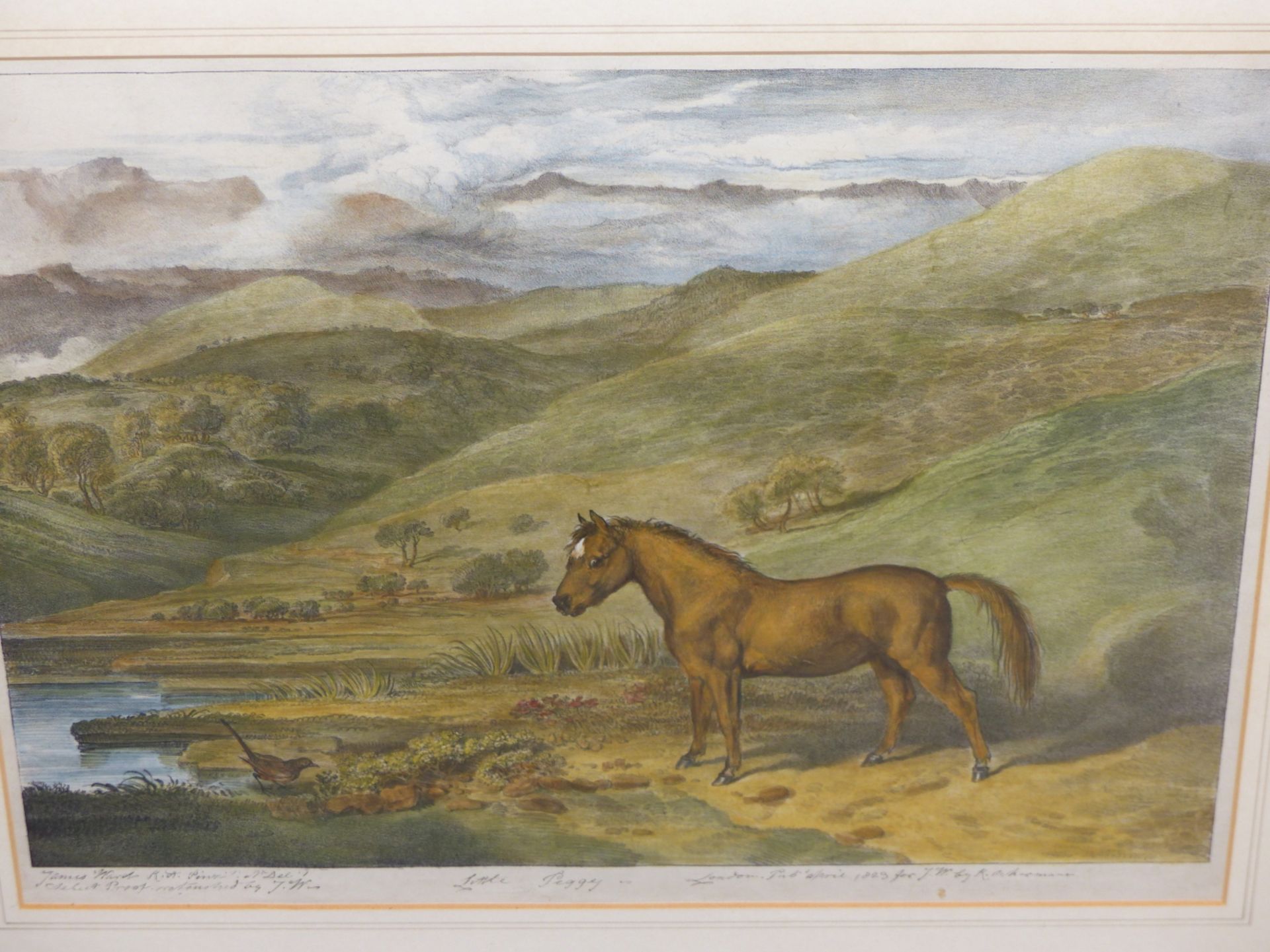 19th C. ENGLISH SCHOOL DANIEL O'ROUKE WINNING HE DERBY 1852, REPUTEDLY BY JAMES G. NOBLE, - Image 25 of 26