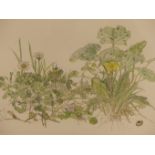 JANET MARSH. (20TH CENTURY) ARR. SPRING FLOWERS. WATERCOLOUR. SIGNED AND TITLED. DATED '77. 43 X