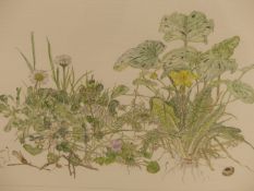JANET MARSH. (20TH CENTURY) ARR. SPRING FLOWERS. WATERCOLOUR. SIGNED AND TITLED. DATED '77. 43 X