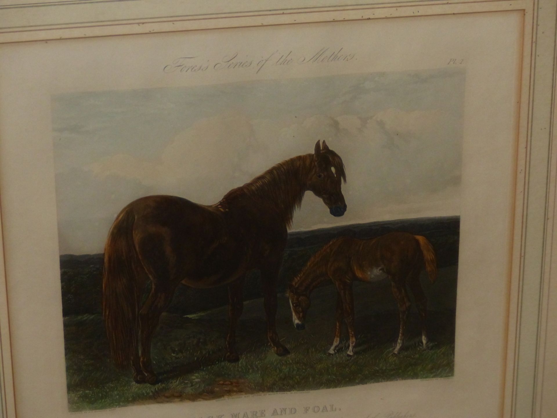AFTER J. F. HERRING AN ANTIQUE HAND COLOURED PRINT HACK MARE AND FOAL. 35 x 38cms TOGETHER WITH A - Image 2 of 8