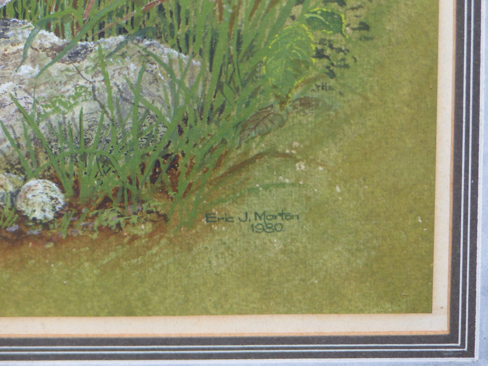 ERIC J. MORTON (20th/21st C. ENGLISH SCHOOL) ARR. A VOLE AND A LADYBIRD, PENCIL SIGNED, WATERCOLOUR. - Image 3 of 6