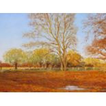 TOM TAYLOR ( 20TH CENTURY) AUTUMN MEADOW . OIL ON BOARD. SIGNED AND LABELLED VERSO. 39 X 27 cm.