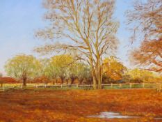 TOM TAYLOR ( 20TH CENTURY) AUTUMN MEADOW . OIL ON BOARD. SIGNED AND LABELLED VERSO. 39 X 27 cm.
