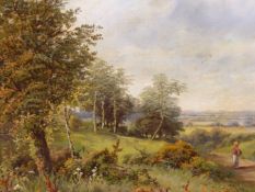 J. A. BOEL (19th C. SCHOOL) A PAIR OF RURAL LANDSCAPES, EACH WITH COTTAGES BY A RIVER, SIGNED, OIL