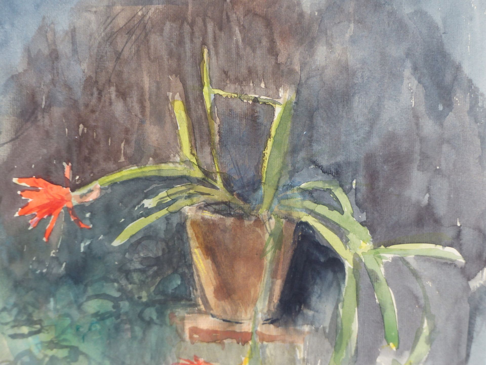 RICHARD SORRELL (20TH CENTURY) STILLLIFE- CHRISTMAS CACTUS. WATERCOLOUR. SIGNED L/R 23 X 23 cm. - Image 2 of 6