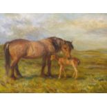 J. MURRAY THOMSON (1885-1974) ARR. MARE AND FOAL, SIGNED, OIL ON BOARD. 45 x 59cms