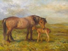 J. MURRAY THOMSON (1885-1974) ARR. MARE AND FOAL, SIGNED, OIL ON BOARD. 45 x 59cms