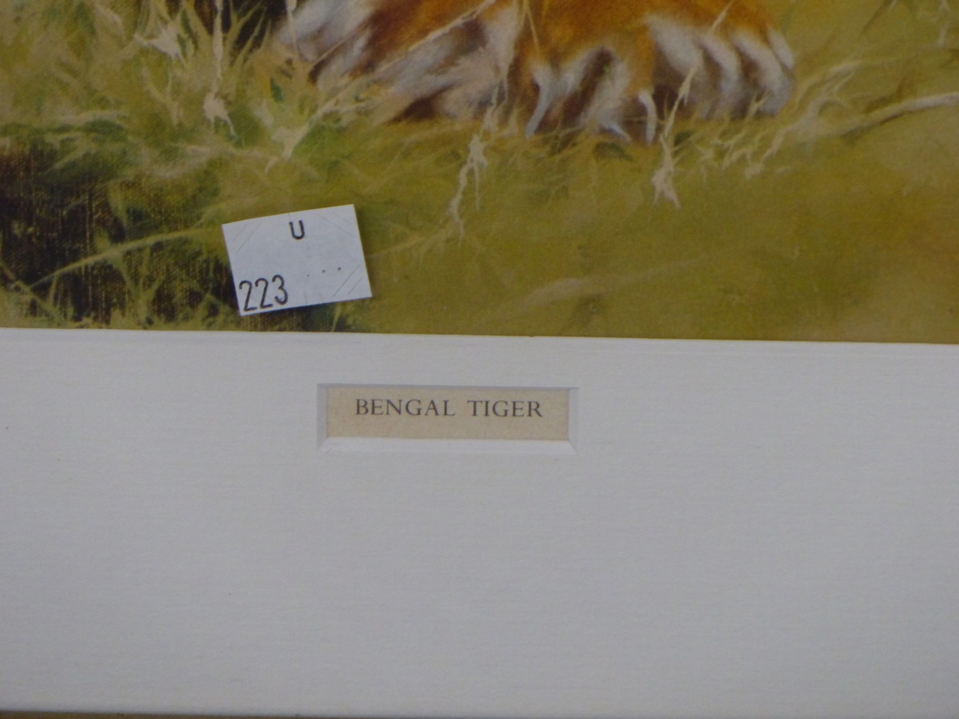 AFTER LEONARD PEARMAN A COLOUR PRINT OF A BENGAL TIGER. 54 x 84cms - Image 4 of 6