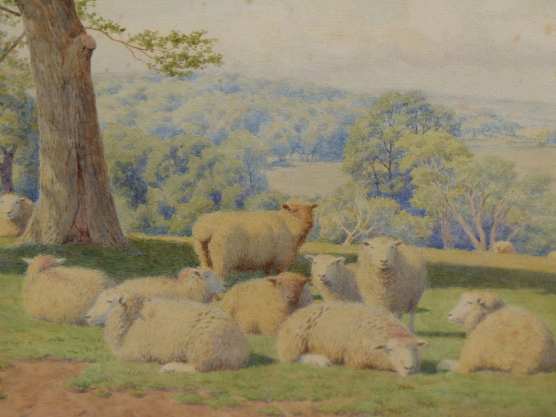 WILLIAM SIDNEY COOPER (1854-1927) SHEEP GRAZING. A PAIR OF WATERCOLOURS. EACH SIGNED DATED 1921 & - Image 6 of 8