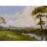 MARTIN NASH (CONTEMPORARY SCHOOL) ARR. A RIVER SCENE, INITIALLED, OIL ON BOARD. 26 x 30cms