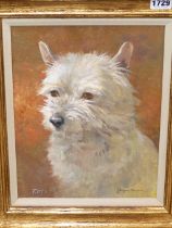 JOHN MURRAY THOMPSON. ( 1885-1974) ARR. "ROSS" STUDY OF A WEST HIGHLAND TERRIER. OIL ON BOARD.