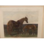 AFTER J. F. HERRING AN ANTIQUE HAND COLOURED PRINT HACK MARE AND FOAL. 35 x 38cms TOGETHER WITH A