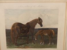 AFTER J. F. HERRING AN ANTIQUE HAND COLOURED PRINT HACK MARE AND FOAL. 35 x 38cms TOGETHER WITH A