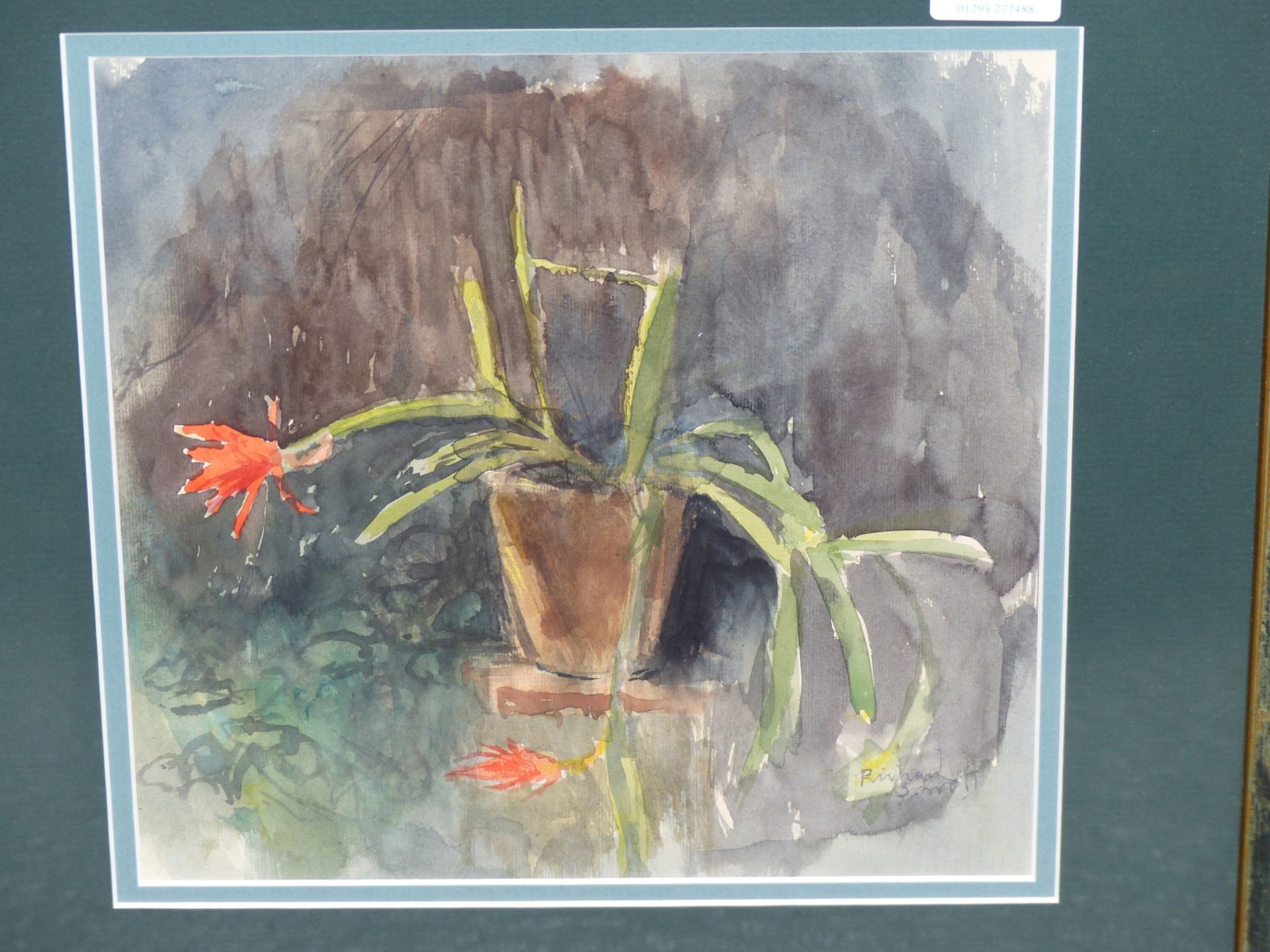 RICHARD SORRELL (20TH CENTURY) STILLLIFE- CHRISTMAS CACTUS. WATERCOLOUR. SIGNED L/R 23 X 23 cm.