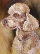 URSULA WHITE (ENGLISH CONTEMPORARY SCHOOL) ARR. PORTRAIT OF JUPITER, A BROWN POODLE, SIGNED, OIL