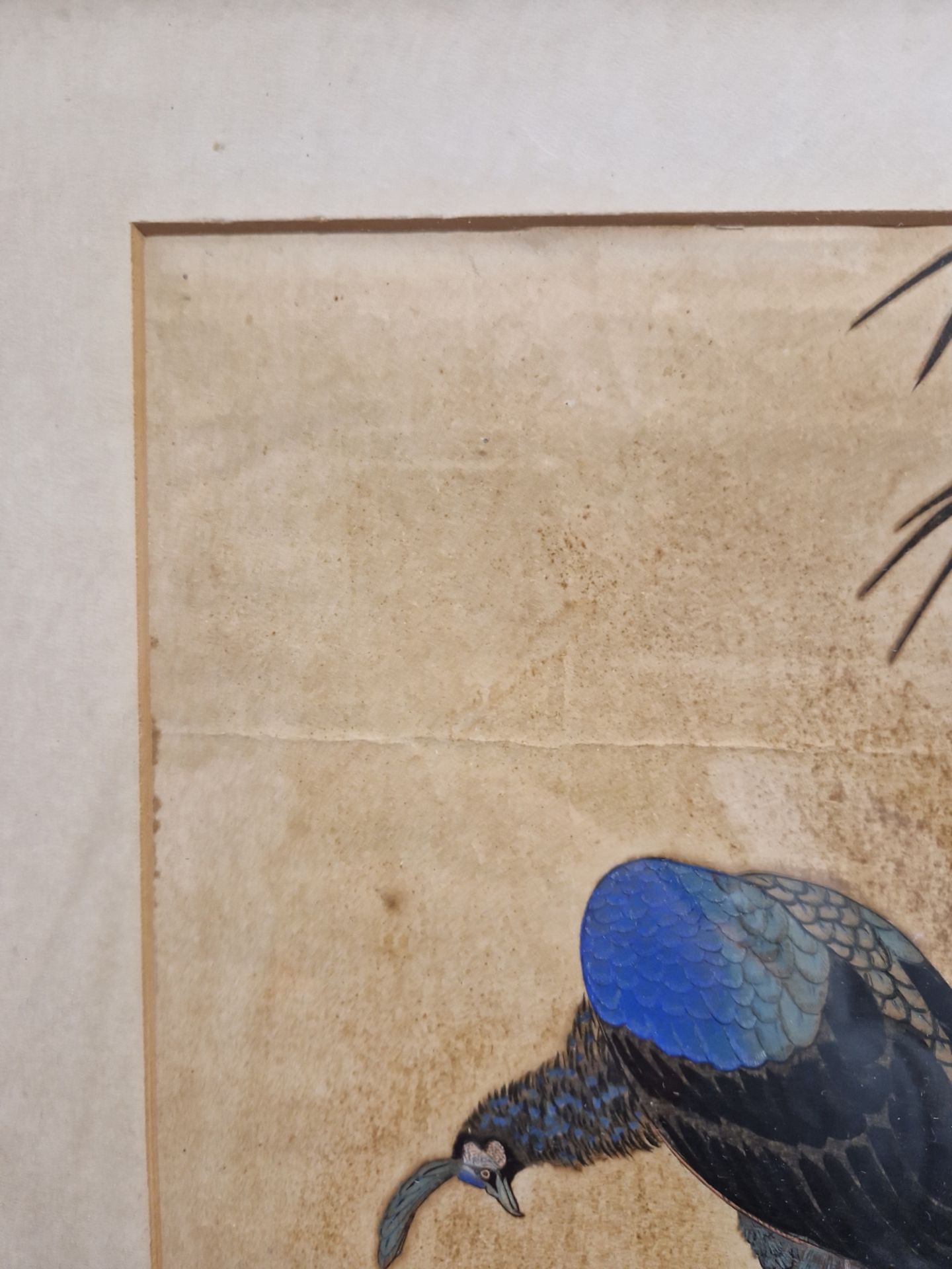 YAMAGUCHI SOKEN A.K.A TAKEJIRO, KYOTO 1759-1818, WOOD BLOCK PRINT OF A PEACOCK ON A ROCK, WITH - Image 7 of 22