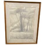 Bill Darrell inscribed verso dated 1966, crayon drawing 'The Tree'