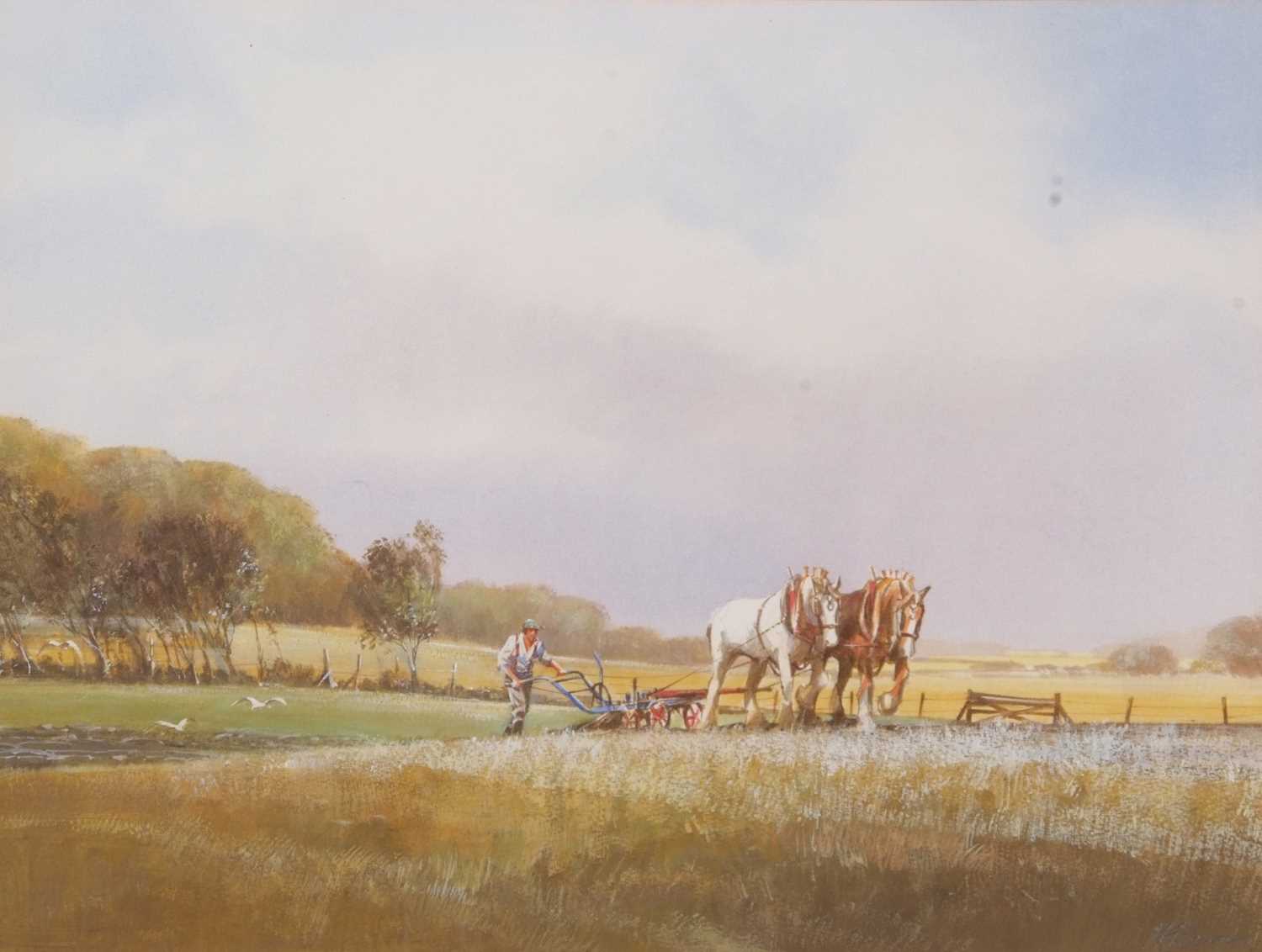 Michael J. Sanders (British, b.1950), Shirehorses and plough, watercolour,14x18ins, signed, mounted, - Image 3 of 3