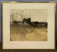 Phil Greenwood RE (British, 20th century), 'Coltsfoot', coloured etching, limited edition,