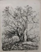 John Crome (British, 18th / Early 19th Century ) 'Three Trees' Original soft-ground etching,