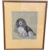 British School, 20th Century, A portrait of a seated dog, pastel on coloured buff paper,