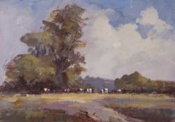 Kevin B Thompson (British, b.1950 -), Cattle grazing next to woodland, oil on canvas, 9x13ins