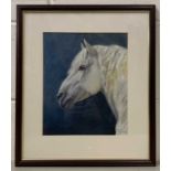 Janice Gordon IEA (British, 20th century), side profile study of a horse, chromolithograph, mounted,