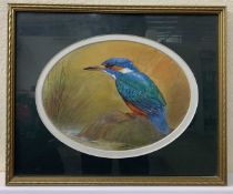 James J.Allen (British, 20th century) Kingfisher, gouache, signed and dated '80, oval mount, 5.5x7.