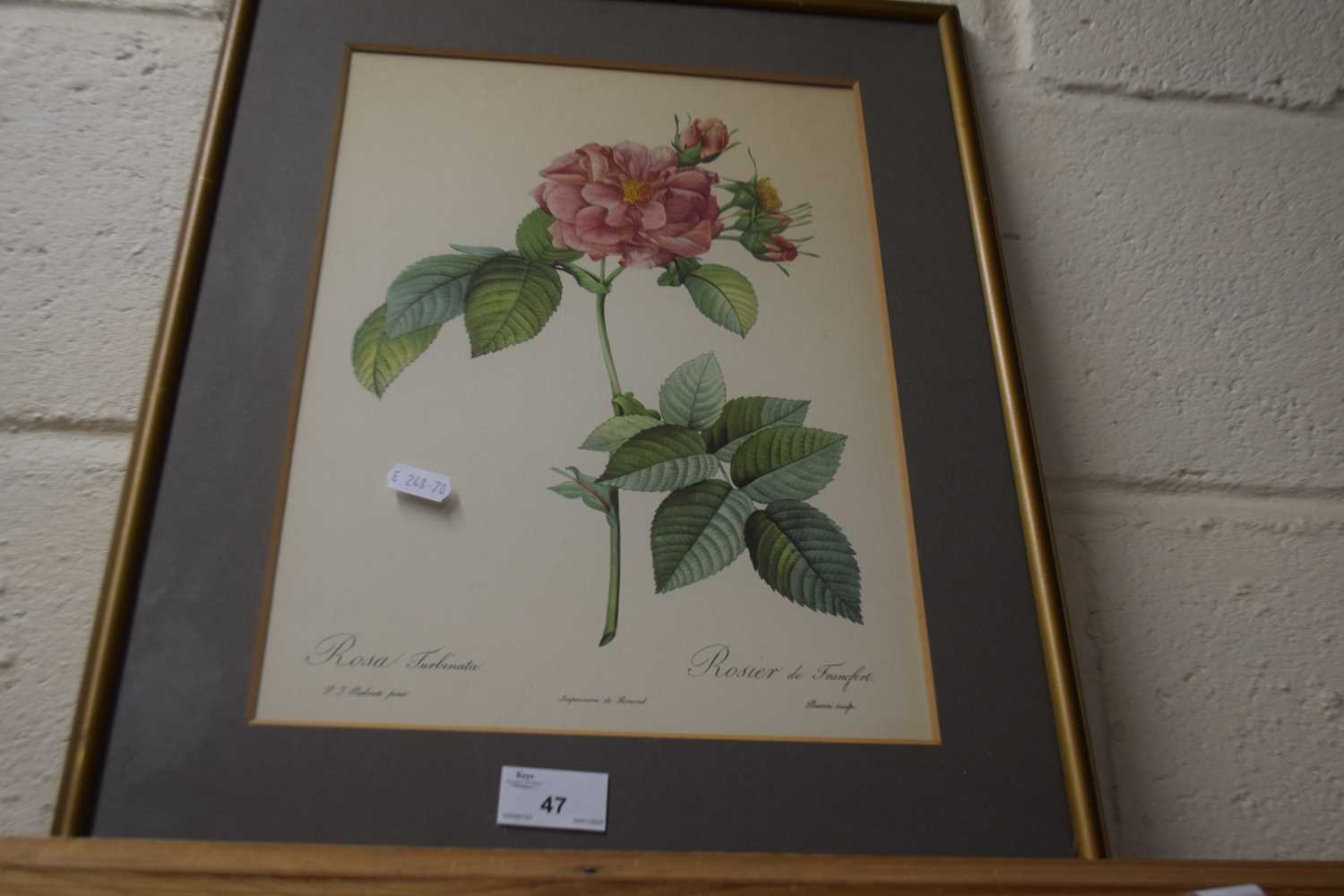 Coloured print of roses