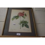 Coloured print of roses