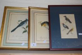 Three coloured prints of birds