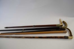 Group of walking sticks, some with horn handles and silver collars (5)