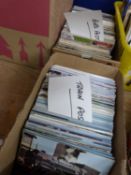Two boxes of vintage postcards, trains and bird interest