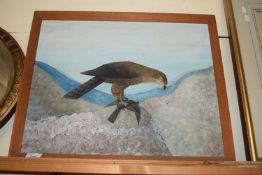 Contemporary school study of a hawk, oil on board, framed