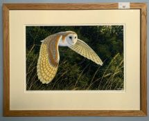 Stephen Message (British, contemporary), barn owl in flight, limited edition chromolithograph,