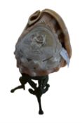 Shell with carved classical decoration mounted on a metal base