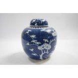 19th Century Chinese porcelain ginger jar, the blue ground with prunus decoration, mark to base of
