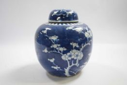 19th Century Chinese porcelain ginger jar, the blue ground with prunus decoration, mark to base of