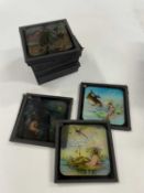 Group of magic lantern slides mainly with designs of fairies