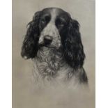 W.Clark (British, 20th century) portrait of Spaniel, charcoal heightened in white, signed and