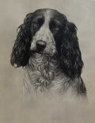 W.Clark (British, 20th century) portrait of Spaniel, charcoal heightened in white, signed and