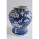 Chinese porcelain ginger jar, the blue ground with prunus decoration and four character mark to base