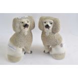 A pair of Staffordshire porcelain poodles with black and yellow faces