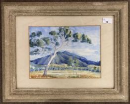 D.C.Hare (British, 20th century), 'Gumtree, Queensland, Australia', watercolour, signed, 8x11ins,