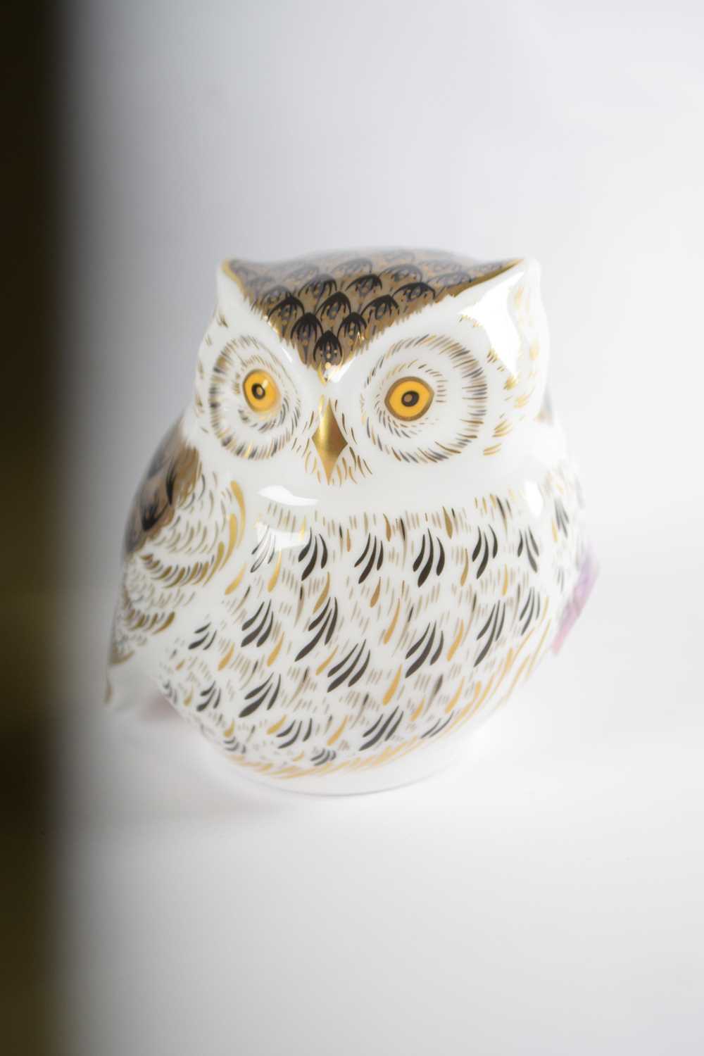 Royal Crown Derby paperweight model of a little grey owl with box - Image 2 of 4