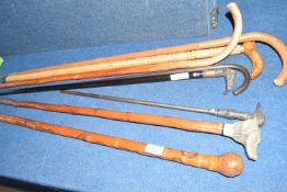 Collection of walking sticks, some with carved wooden handles, others with silver metal or white