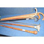 Collection of walking sticks, some with carved wooden handles, others with silver metal or white