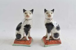 A pair of Staffordshire cats on rectangular bases