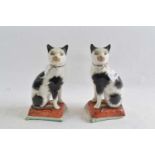 A pair of Staffordshire cats on rectangular bases